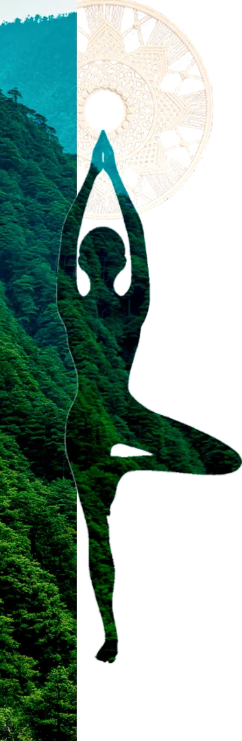 Заставка